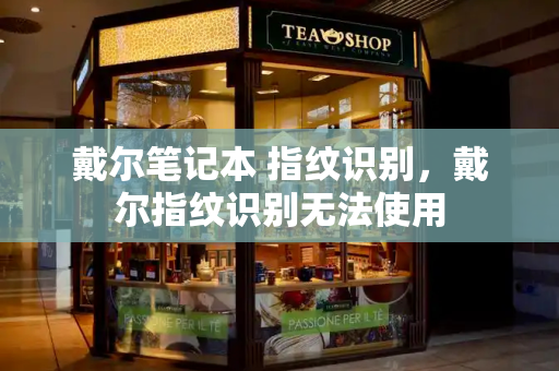 戴尔笔记本 指纹识别，戴尔指纹识别无法使用-第1张图片-星选测评
