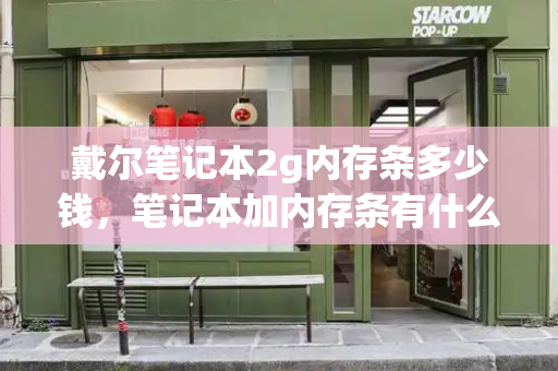 戴尔笔记本2g内存条多少钱，笔记本加内存条有什么好处-第1张图片-星选测评