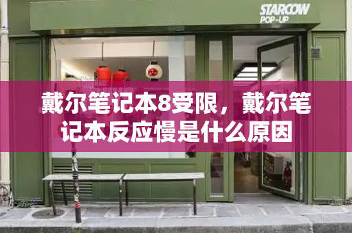 戴尔笔记本8受限，戴尔笔记本反应慢是什么原因-第1张图片-星选测评