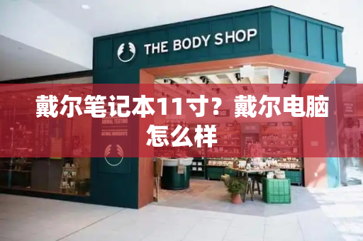 戴尔笔记本11寸？戴尔电脑怎么样-第1张图片-星选测评