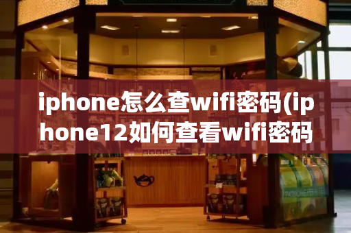 iphone怎么查wifi密码(iphone12如何查看wifi密码)-第1张图片-星选测评