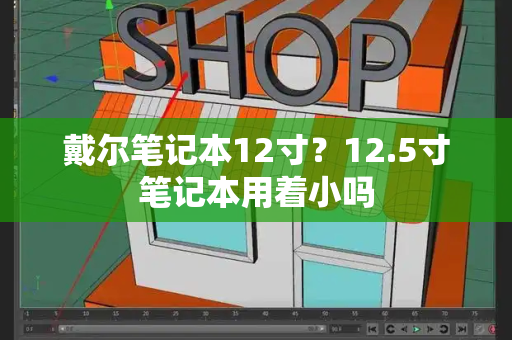 戴尔笔记本12寸？12.5寸笔记本用着小吗