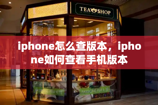 iphone怎么查版本，iphone如何查看手机版本-第1张图片-星选测评