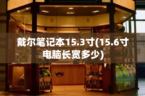 戴尔笔记本15.3寸(15.6寸电脑长宽多少)