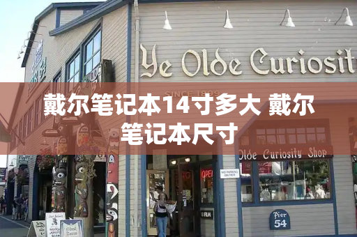 戴尔笔记本14寸多大 戴尔笔记本尺寸-第1张图片-星选测评