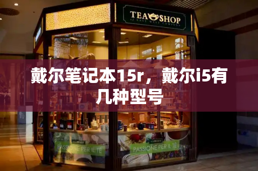 戴尔笔记本15r，戴尔i5有几种型号-第1张图片-星选测评