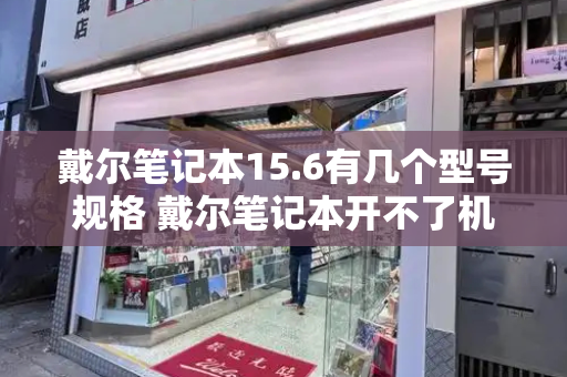 戴尔笔记本15.6有几个型号规格 戴尔笔记本开不了机怎么办-第1张图片-星选测评