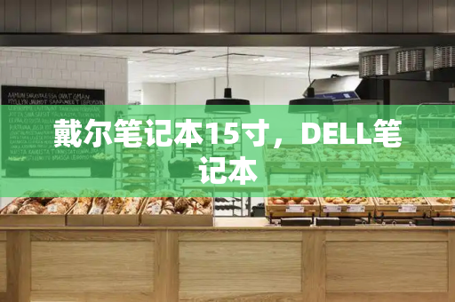 戴尔笔记本15寸，DELL笔记本-第1张图片-星选测评