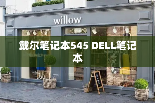 戴尔笔记本545 DELL笔记本-第1张图片-星选测评