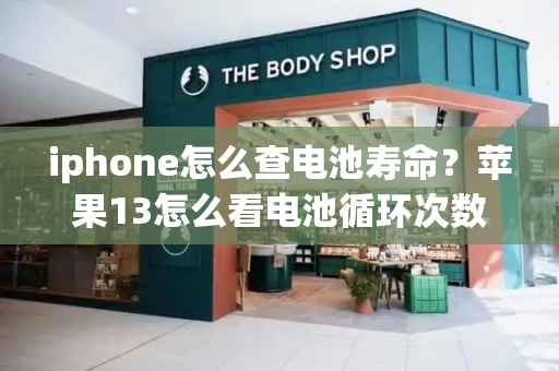 iphone怎么查电池寿命？苹果13怎么看电池循环次数