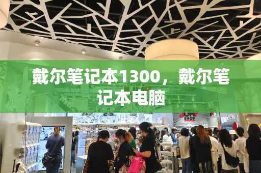 戴尔笔记本1300，戴尔笔记本电脑-第1张图片-星选测评