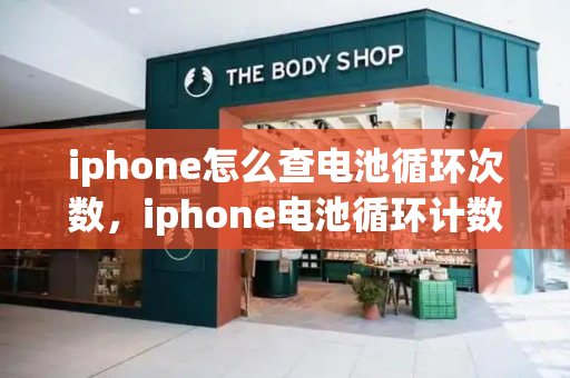 iphone怎么查电池循环次数，iphone电池循环计数什么意思-第1张图片-星选测评