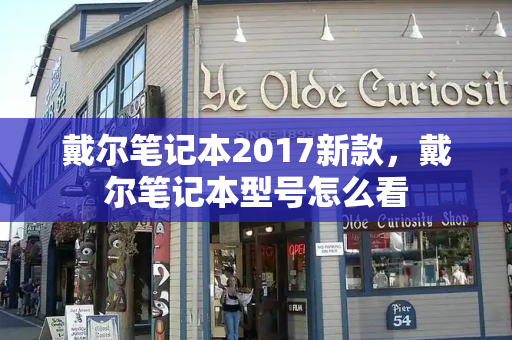 戴尔笔记本2017新款，戴尔笔记本型号怎么看-第1张图片-星选测评