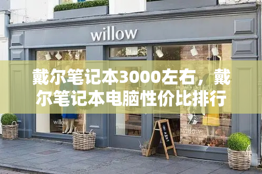 戴尔笔记本3000左右，戴尔笔记本电脑性价比排行-第1张图片-星选测评