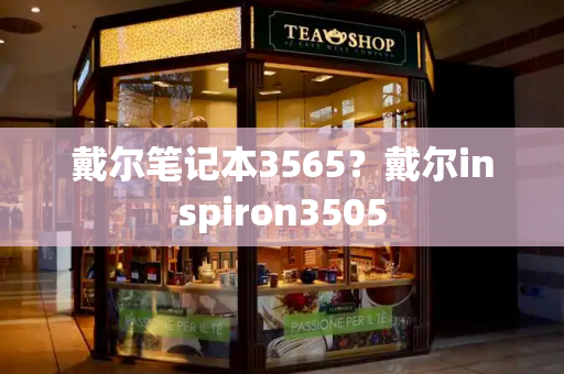 戴尔笔记本3565？戴尔inspiron3505-第1张图片-星选测评