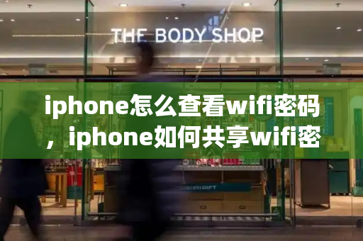 iphone怎么查看wifi密码，iphone如何共享wifi密码-第1张图片-星选测评