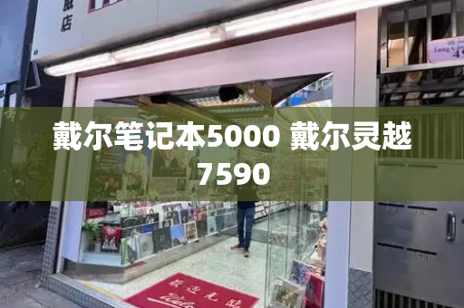 戴尔笔记本5000 戴尔灵越7590-第1张图片-星选测评