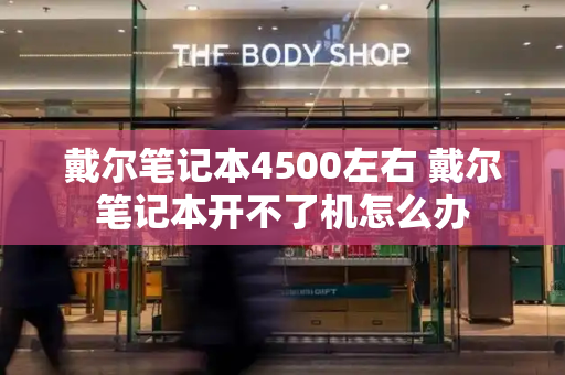 戴尔笔记本4500左右 戴尔笔记本开不了机怎么办-第1张图片-星选测评
