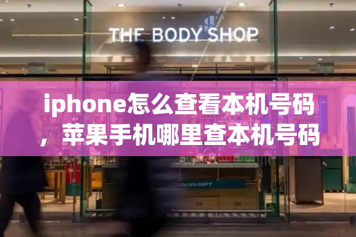 iphone怎么查看本机号码，苹果手机哪里查本机号码-第1张图片-星选测评