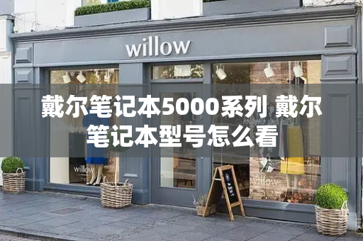戴尔笔记本5000系列 戴尔笔记本型号怎么看