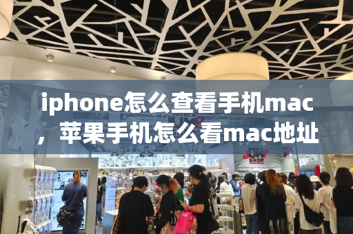 iphone怎么查看手机mac，苹果手机怎么看mac地址