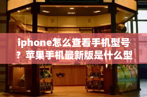 iphone怎么查看手机型号？苹果手机最新版是什么型号