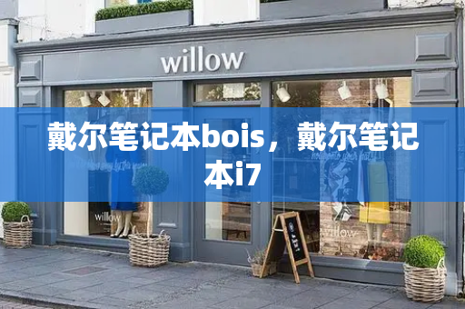 戴尔笔记本bois，戴尔笔记本i7