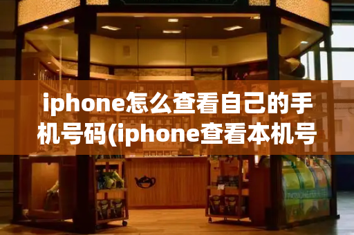 iphone怎么查看自己的手机号码(iphone查看本机号码)-第1张图片-星选测评