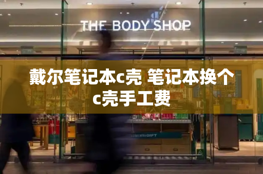 戴尔笔记本c壳 笔记本换个c壳手工费-第1张图片-星选测评