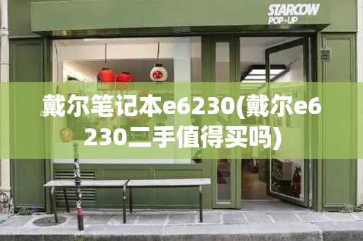 戴尔笔记本e6230(戴尔e6230二手值得买吗)-第1张图片-星选测评