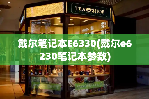 戴尔笔记本E6330(戴尔e6230笔记本参数)