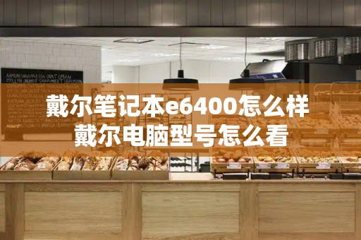 戴尔笔记本e6400怎么样 戴尔电脑型号怎么看-第1张图片-星选测评