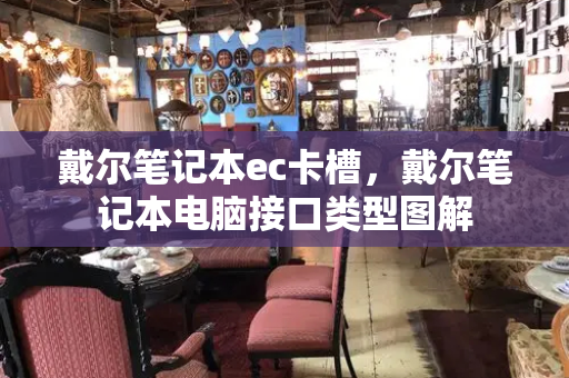 戴尔笔记本ec卡槽，戴尔笔记本电脑接口类型图解-第1张图片-星选测评