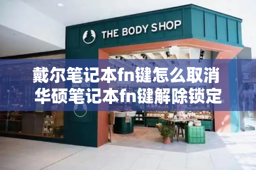 戴尔笔记本fn键怎么取消 华硕笔记本fn键解除锁定-第1张图片-星选测评