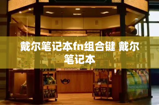 戴尔笔记本fn组合键 戴尔笔记本-第1张图片-星选测评
