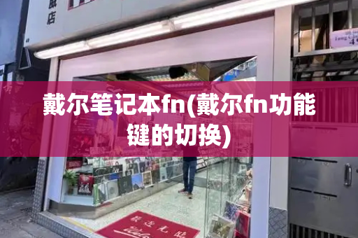 戴尔笔记本fn(戴尔fn功能键的切换)