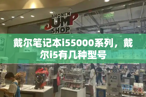 戴尔笔记本i55000系列，戴尔i5有几种型号-第1张图片-星选测评