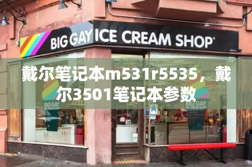 戴尔笔记本m531r5535，戴尔3501笔记本参数-第1张图片-星选测评
