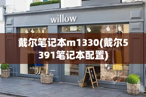 戴尔笔记本m1330(戴尔5391笔记本配置)-第1张图片-星选测评