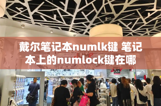 戴尔笔记本numlk键 笔记本上的numlock键在哪-第1张图片-星选测评