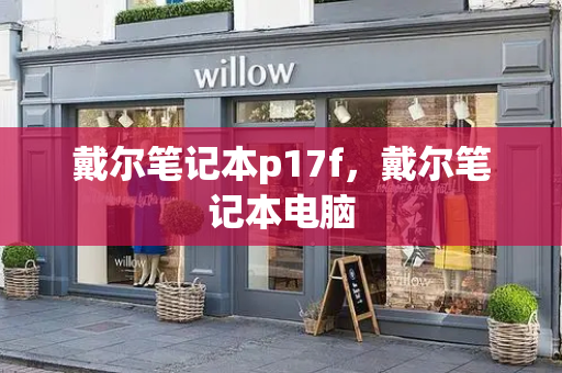戴尔笔记本p17f，戴尔笔记本电脑-第1张图片-星选测评