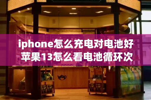 iphone怎么充电对电池好 苹果13怎么看电池循环次数