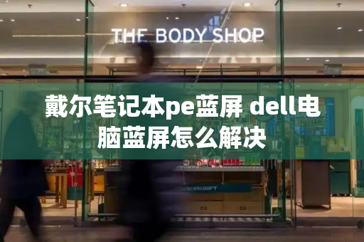 戴尔笔记本pe蓝屏 dell电脑蓝屏怎么解决-第1张图片-星选测评