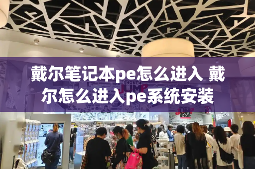 戴尔笔记本pe怎么进入 戴尔怎么进入pe系统安装-第1张图片-星选测评