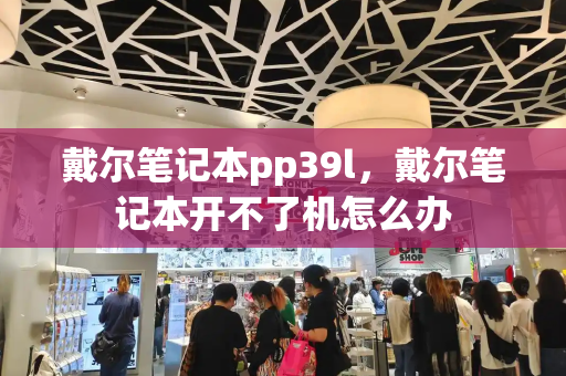 戴尔笔记本pp39l，戴尔笔记本开不了机怎么办-第1张图片-星选测评