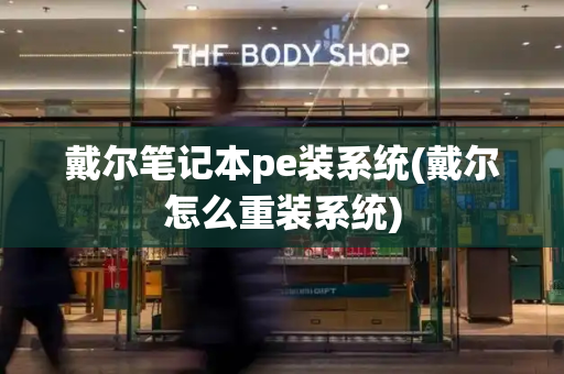 戴尔笔记本pe装系统(戴尔怎么重装系统)