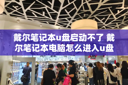 戴尔笔记本u盘启动不了 戴尔笔记本电脑怎么进入u盘启动-第1张图片-星选测评