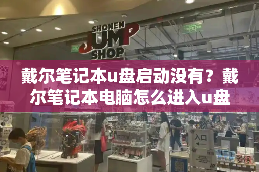 戴尔笔记本u盘启动没有？戴尔笔记本电脑怎么进入u盘启动