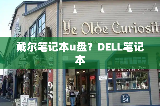戴尔笔记本u盘？DELL笔记本-第1张图片-星选测评