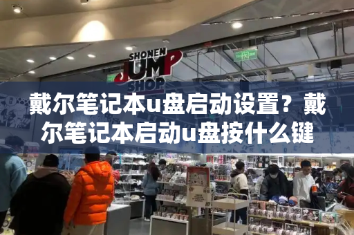 戴尔笔记本u盘启动设置？戴尔笔记本启动u盘按什么键-第1张图片-星选测评